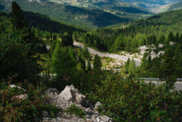 Eine kurvenreiche Bergstraße schlängelt sich durch einen dichten, satten grünen Wald und felsiges Gelände. Im Vordergrund erheben sich hohe Bäume und üppige Vegetation, durchzogen von Lichtflecken in weichem Morgenlicht. Die Hintergründe werden von sanft ansteigenden Hügeln dominiert, deren Konturen in Nebel gehüllt sind. Keine Menschen oder Fahrzeuge stören die unberührte Ruhe der Szene; nur Natur pur. Diese fotografische Dokumentation vermittelt in einem epischen Stil die gewaltige Schönheit der Landschaft—ein typisches Motiv aus dem Repertoire von Alex Sobotta Fotografie. A winding mountain road cuts through lush forest and rocky slopes under soft morning light. This cinematic landscape photograph by Alex Sobotta captures serene natural beauty for documentary and travel contexts. Alex Sobotta Fotograf