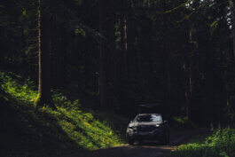 Fotografie von Alex Sobotta: Ein dunkler 2025 Subaru Forester mit Dachbox fährt auf einem schmalen Feldweg durch dichten, von Sonnenstrahlen durchbrochenen Wald. Hohe Bäume und sattes Unterholz bilden den Hintergrund. Dynamic forest SUV scene by Alex Sobotta. Adventure car in a sunny green woodland setting. Alex Sobotta Fotograf