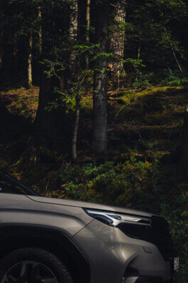 Foto von Alex Sobotta: Ein silberner 2025 Subaru Forester steht am Waldrand, moosbedeckter Boden und hohe Bäume im Hintergrund. Sonnenstrahlen brechen durch die Äste und tauchen das ruhige Setting in warmes Licht. Fotografie von Alex Sobotta. A new Subaru Forester is parked in a forest with tall trees and green moss beneath filtered sunlight. Alex Sobotta Fotograf
