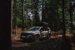 Foto von Alex Sobotta: Ein grauer 2025 Forester SUV mit Offroad-Ausrüstung und Dachbox steht in einem dichten, sonnenbeschienenen Wald. Hohe Bäume werfen lange Schatten, verstreute Äste betonen das Abenteuer der Szene. Forestry Fotografie von Alex Sobotta. A gray 2025 Subaru Forester with roof box is parked in a sunlit forest, surrounded by trees. This image highlights adventure and the outdoor lifestyle. Alex Sobotta Fotograf