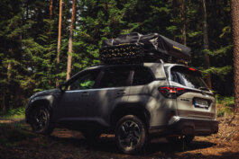 Cinematische Fotografie von Alex Sobotta: Ein 2025 Subaru Forester mit großem, schwarzem Dachkoffer, vollgepackt mit Ausrüstung. SUV steht ruhig zwischen hohen Bäumen im satten Grün des Waldes. Das Licht bricht hart durch das Blätterdach. A Subaru Forester with adventure gear is parked deep in the forest. Sunlight filters through tall trees in this cinematic photograph by Alex Sobotta. Alex Sobotta Fotograf