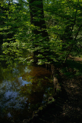  Alex Sobotta Fotograf